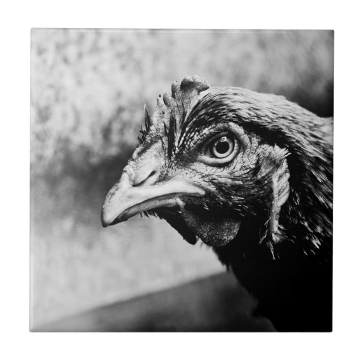 Carreau esprits et poulets (Devant)