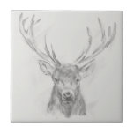 Carreau Esquisse d'Elk contemporaine<br><div class="desc">Esquisse d'Elk II contemporaine par Ethan Harper. Porte le portrait d'un wapiti dessiné au crayon.</div>