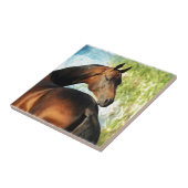 Carreau étalon Akhal-Teke (Côté)