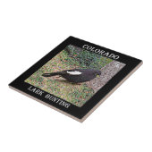 Carreau Étamine d'alouette (le Colorado) (Côté)