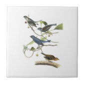 Carreau Étamine d'indigo par Audubon (Devant)