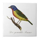 Carreau Étamine peinte (Devant)