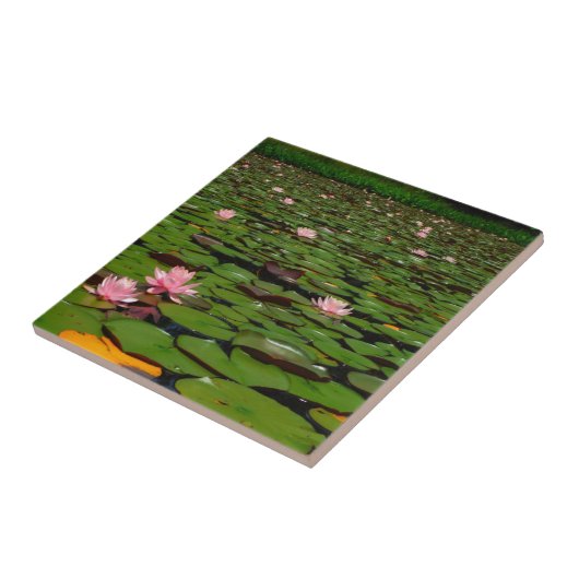 Carreau Etang de fleurs de lys d'eau rose (Côté)