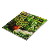 Carreau Étang de jardin (Côté)