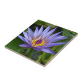 Carreau Étang de nénuphars bleus / violets (Côté)