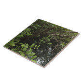 Carreau Étang tropical de sel (Côté)