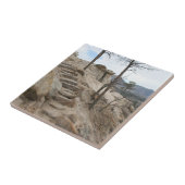 Carreau Etapes Rocheuses (Côté)