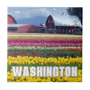 Carreau État de Washington Champ de tulipes