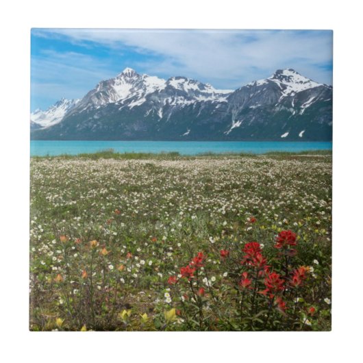 Carreau États-Unis, Alaska, Glacier Bay National Park 2 (Devant)