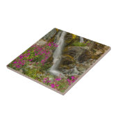 Carreau États-Unis, Alaska, Glacier Bay National Park. Feu (Côté)