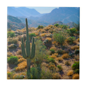 Carreau États-Unis, Arizona. Desert View