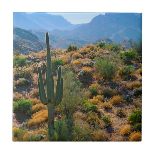 Carreau États-Unis, Arizona. Desert View (Devant)