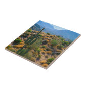 Carreau États-Unis, Arizona. Desert View (Côté)