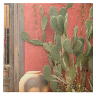 Carreau États-Unis, Arizona, Tucson : Presidio Historic Di