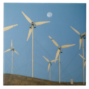 Carreau États-Unis, Californie, Altamont Pass, générateurs