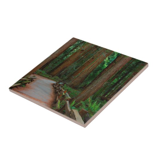 Carreau États-Unis, Californie. Chemin d'accès parmi les s (Côté)