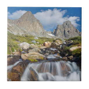 Carreau États-Unis, Californie, Forêt nationale d'Inyo 14