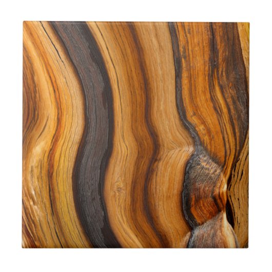 Carreau États-Unis, Californie, Inyo National Forest 7 (Devant)