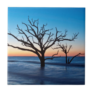 Carreau États-Unis, Caroline du Sud, île d'Edisto, baie 