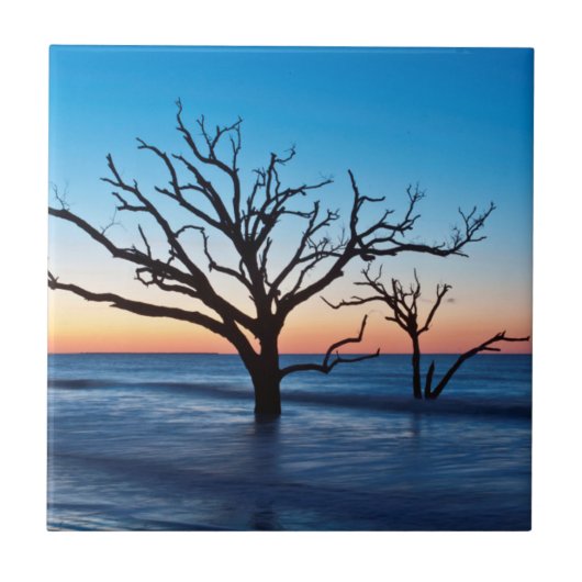 Carreau États-Unis, Caroline du Sud, île d'Edisto, baie de (Devant)