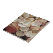 Carreau États-Unis, Floride. Fermeture Des Coques Sur Père (Côté)