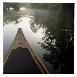 Carreau États-Unis, Floride, forêt nationale d'Ocala, Al
