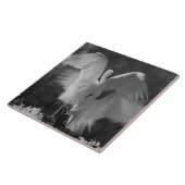 Carreau États-Unis, Floride, Grande Aigrette (Ardea alba) (Côté)