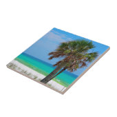 Carreau États-Unis, Floride. Palmiers Sur La Côte D'Émerau (Côté)