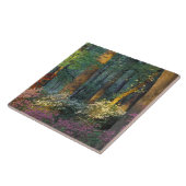 Carreau États-Unis, Géorgie, Callaway Gardens, forêt d'Aza (Côté)