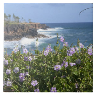 Carreau États-Unis, Hawaï, Kauai, près de Kapaa, nord-o