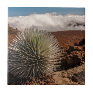Carreau États-Unis, Hawaï, Maui, Parc national de Haleakal