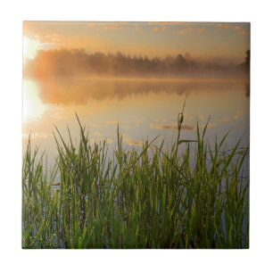 Carreau États-Unis, Idaho, Parc d'État du lac Winchester, 