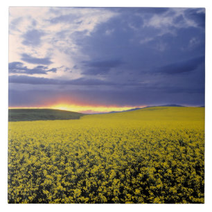 Carreau États-Unis, Idaho, vallée du Swan. Un coucher de s