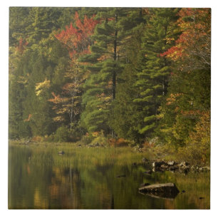 Carreau États-Unis; Maine; Parc national d'Acadia. Reflets