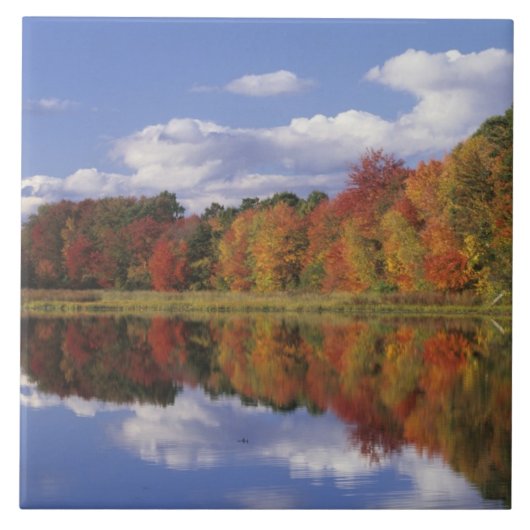 Carreau États-Unis, Massachusetts, Acton. Reflet de l'auto (Devant)
