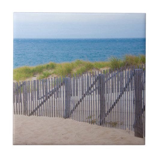 Carreau États-Unis, Massachusetts. Dunes Et Chemin (Devant)