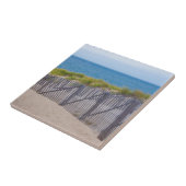 Carreau États-Unis, Massachusetts. Dunes Et Chemin (Côté)