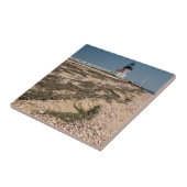 Carreau États-Unis, Massachusetts, Nantucket. Coquille (Côté)