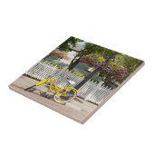 Carreau États-Unis, Michigan, île Mackinac. Vélo jaune (Côté)