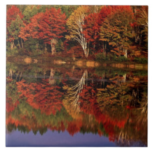 Carreau États-Unis, Michigan, Upper Peninsula. Automne