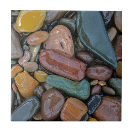 Carreau États-Unis, Montana, Clark Fork River, Stones (Devant)