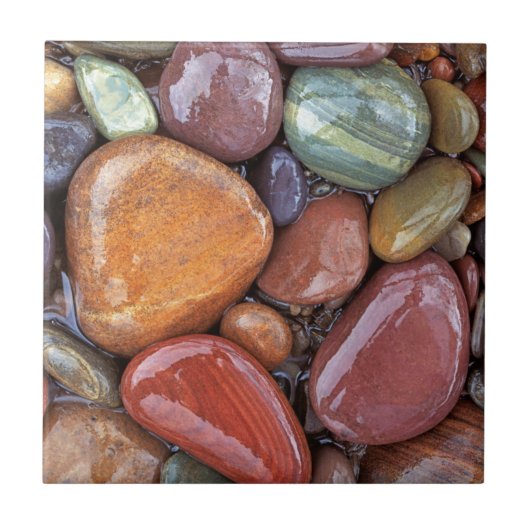 Carreau États-Unis, Montana, Clark Fork River, Stones 2 (Devant)