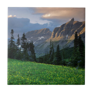 Carreau États-Unis, Montana, Glacier National Park, Logan