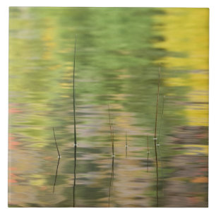 Carreau États-Unis, New York, Adirondacks, reflets dans l'