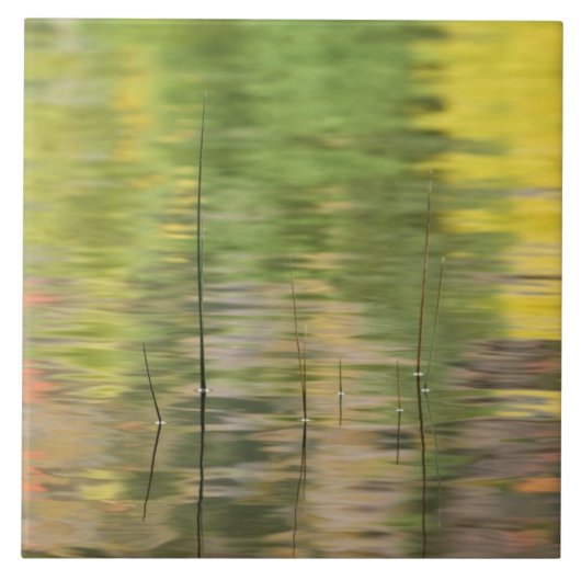 Carreau États-Unis, New York, Adirondacks, reflets dans l' (Devant)