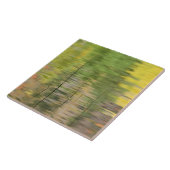 Carreau États-Unis, New York, Adirondacks, reflets dans l' (Côté)