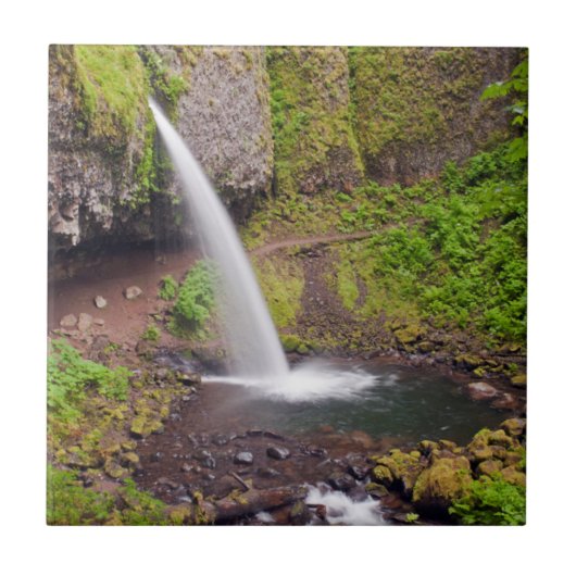Carreau États-Unis, Oregon, Columbia River Gorge 4 (Devant)
