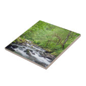 Carreau États-Unis, Oregon, Columbia River Gorge, Tanner C (Côté)