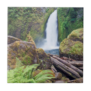 Carreau États-Unis, Oregon, Columbia River Gorge, Wahclell