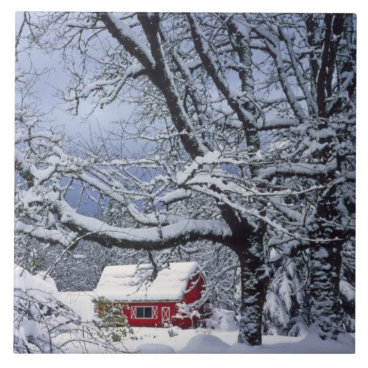 Carreau États-Unis, Oregon, comté de Clackamas. Enveloppes (Devant)